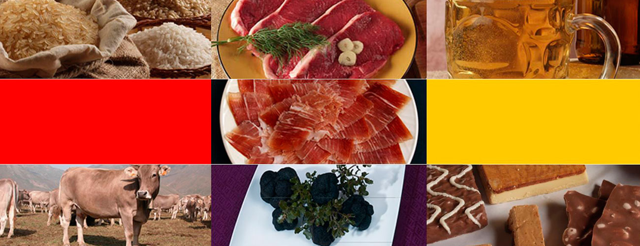 Internacionalización digital colectiva para el sector agroalimentario de Aragón