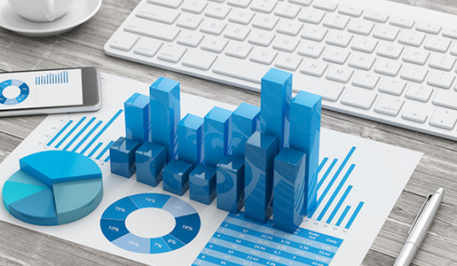 MAZ, DataMart Dirección Económico-Financiera